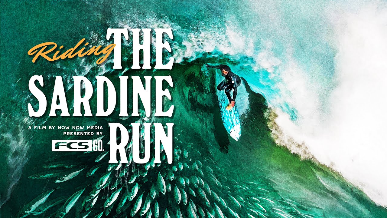 Ride Your Own Wave